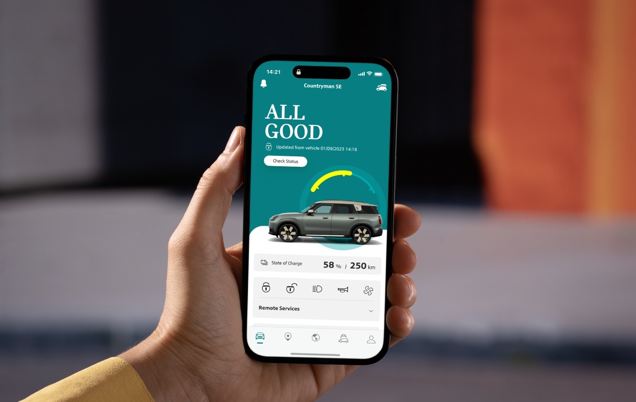 Serviços Remotos MINI